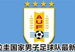 乌拉圭足球成绩