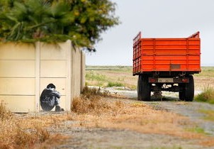 深圳疫情新动态，22例本土确诊背后的挑战与应对