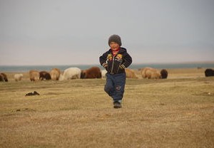 北京两小区核酸检测新动态，10混1阳性结果引发关注