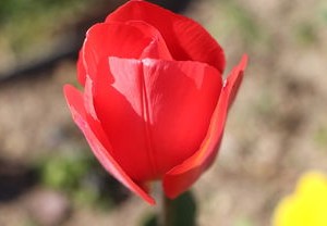 江苏疫情新动态，新增19例本土确诊病例的分析与防控措施