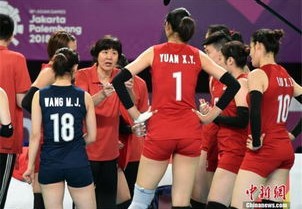 女排世界杯2023直播