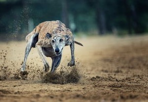 陕西新增确诊病例详情公布，疫情动态下的守望相助