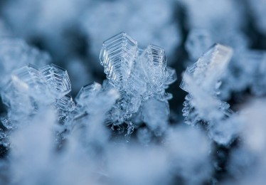 新疆八月下暴雪，气候异常下的独特风景与挑战