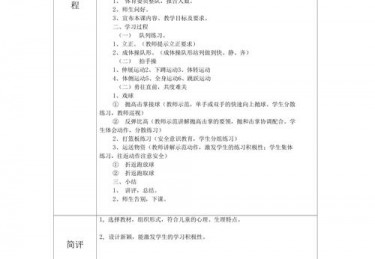 小学体育课堂教学听课记录