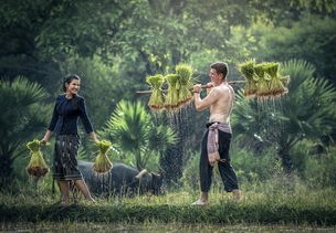 二年级女生养蜗牛引发奇迹，孵化380只小蜗牛的成长故事