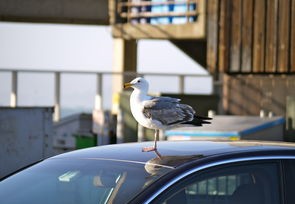 浙江战疫新动态，60例本土无症状感染者引发关注