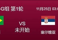 塞尔维亚队在欧洲杯的征程挑战与希望并存