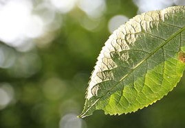 从阴影到光明