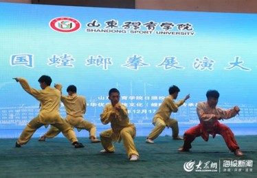 体育生冬训计划怎么写
