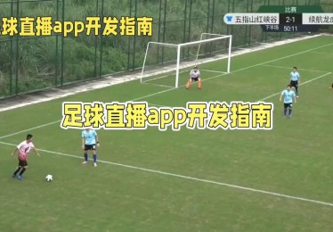 今晚球赛直播为何体育赛事是社会精神的重要组成部分