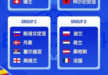 第一届欧洲杯参赛球队数量