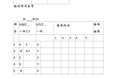 正规乒乓球比赛记录表