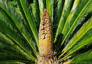 疫情动态更新，了解最新病例数及其影响