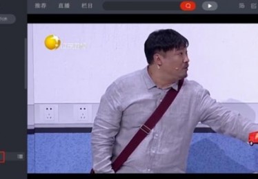 辽宁卫视在线直播手机观看