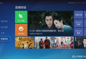 中央电视台直播频道培训心得体会