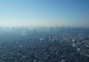 疫情动态，31省区市新增确诊43例的深度解析