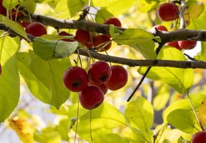 广东战疫新动态，今日新增病例全解析
