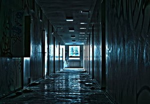 小区楼道惊现巨长蛇蜕，多方迅速响应揭秘事件真相