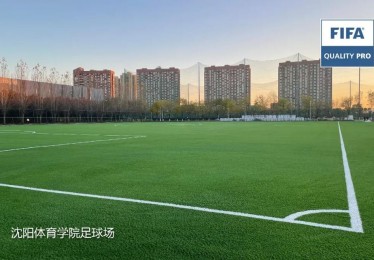 沈阳奥星体育学校