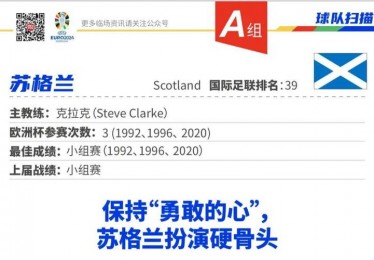 东道主之梦