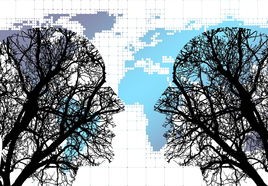 英法乌联合提议，一份构建乌克兰和平的蓝图