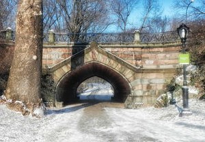湖南奇观，蜉蝣飞舞如雪飘洒一桥之上