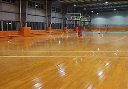 篮球馆体育运动木地板