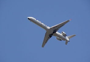 31省新增本土9例，疫情动态更新与防控措施分析