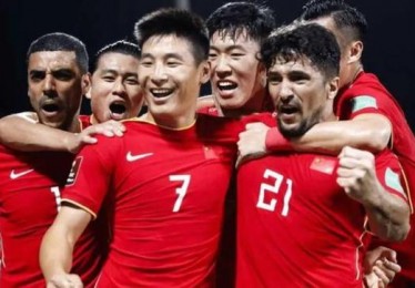 绿茵场上的中国热情哪支世界杯球队最受中国球迷青睐？

文章