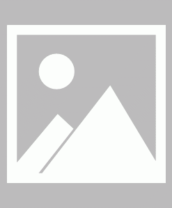 皇家马德里是否应该启用冈萨洛、姆巴佩和维尼修斯组成锋线三叉戟？