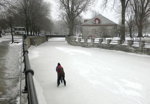 山东等地暴雪，自然现象的解读与应对策略