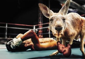 探索UFC，终极格斗锦标赛的魅力与技巧