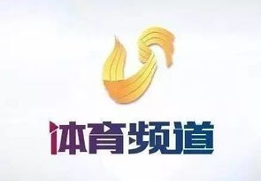 山东电视体育频道在线直播观看