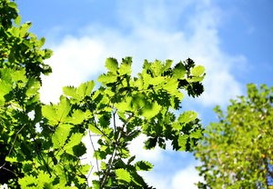 湖南疫情新动态，今日新增25例，防控措施显成效