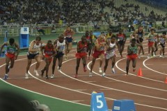 2024年夏季奥运会的璀璨盛宴，揭秘全球竞技新起点