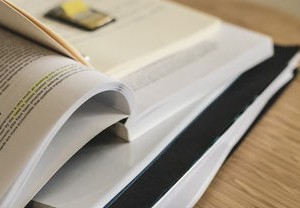 政府工作报告，坚持过紧日子—理性消费，稳健前行