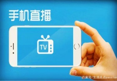 南非世界杯参赛国家
