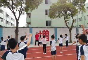 绿色校园生态环境的教研活动记录