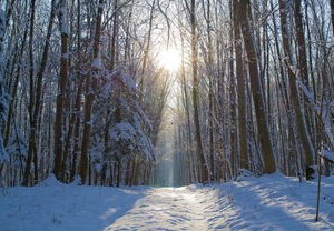 成都市区下雪了？气象局回应，雪落何处，我们都在关注