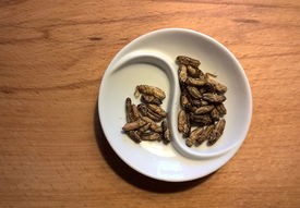 最新动态，河南中高风险区调整名单公布，居民出行需关注