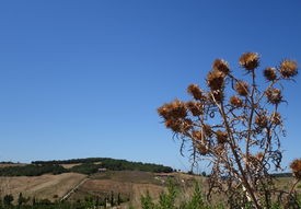 西安疫情动态，未来几天新增病例可能较多，我们如何应对？