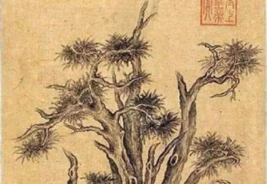 河南电视台鉴宝节目主持人陈琨