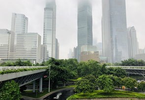 2022年城市交通新变化，最新限号政策解读与出行指南