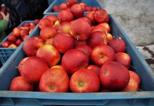 中国新冠疫情最新动态，数据解读与防控策略