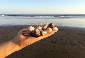 沙沙沙声中的成都记忆