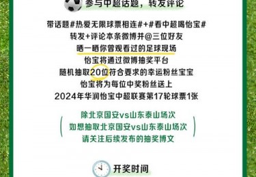 中超联赛中国足球的崛起与挑战