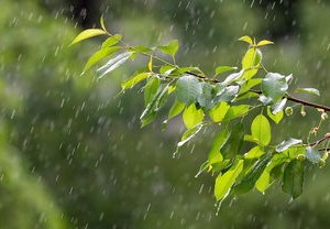 黑龙江疫情新动态，新增本土病例6例的应对与预防