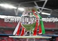 欧洲杯观赛成本分析从预算到奢华的全方位指南