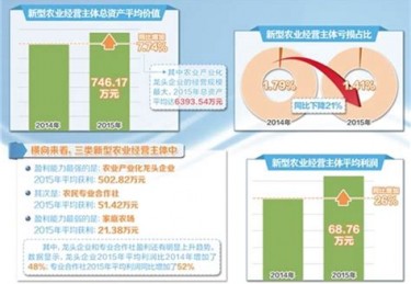勇者体育怎么样