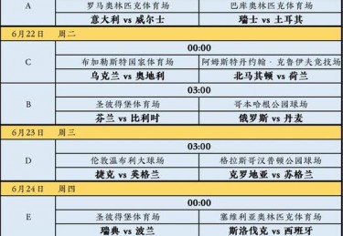 欧洲杯瑞典出线
